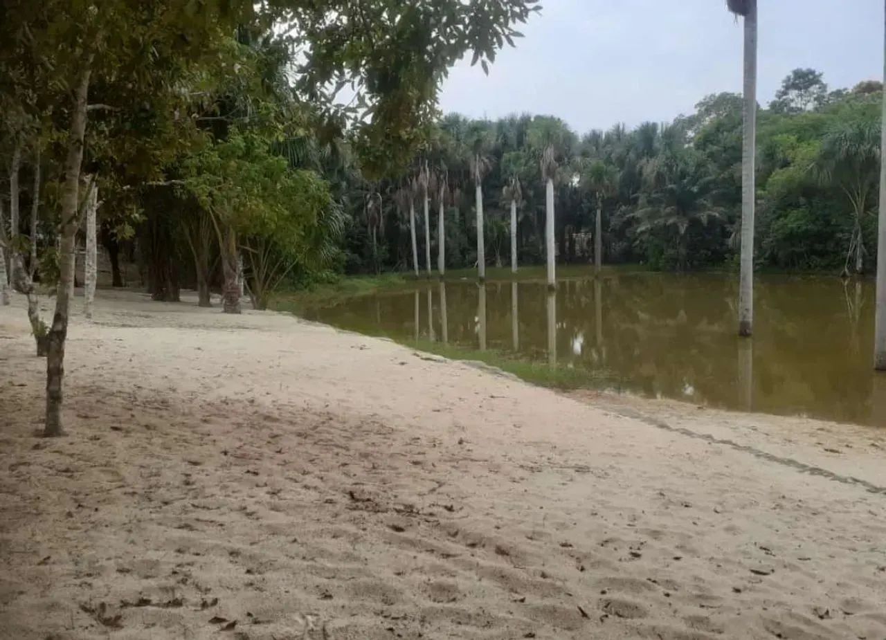 Transferência de lotes na chácara da fazenda 2 lotes bem localizado - Foto 9