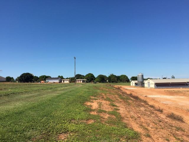 Granja com área de 40 hectares, localizada a 50 km de Lucas do Rio Verde - Foto 8