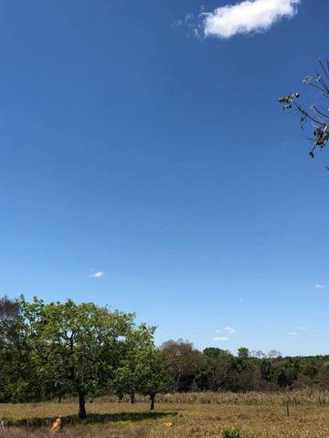 Fazenda - Paraíso do Tocantins/TO - Foto 12