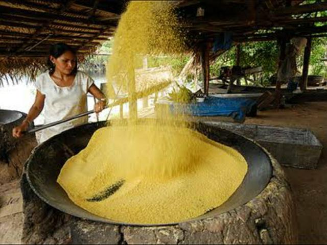 Farinha de Mandioca branca copioba e amarela