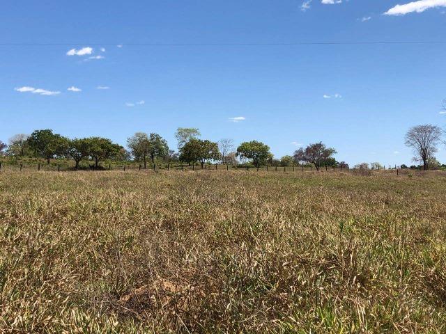 Fazenda - Paraíso do Tocantins/TO - Foto 15