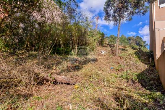 Terreno à venda em Vista alegre, Curitiba cod:144620 - Foto 4