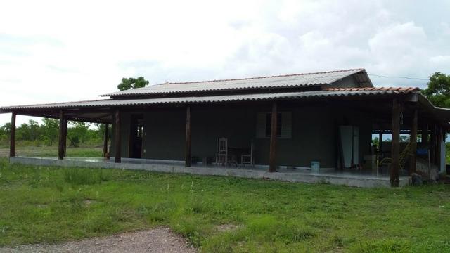 Vendo uma chácara de 2 hectares no coxipo do ouro ! - Foto 7