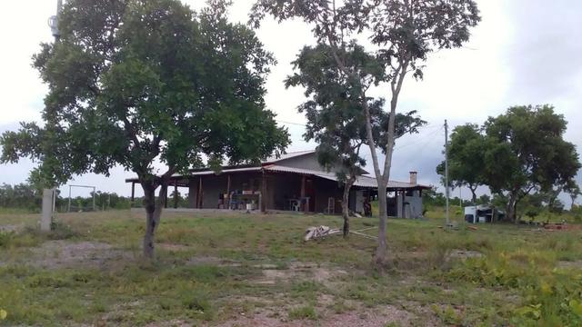 Vendo uma chácara de 2 hectares no coxipo do ouro ! - Foto 13