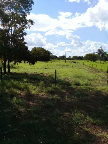 Fazenda 350,hectares beira do rio cuiaba - Foto 12