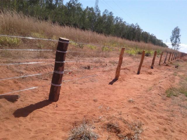 Fazenda Juscimeira - Foto 3