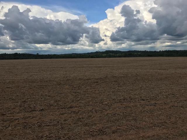Fazenda 302 Hectares Plantando Lavoura - MT