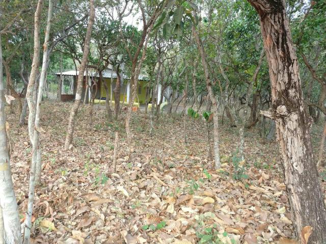 Chácara em Santo Antônio 85.000,00 R$ - Foto 3