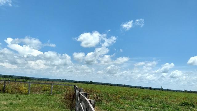 Fazenda 1.028 Hectares Dupla Aptidão - Nova Guarita - MT - Foto 5