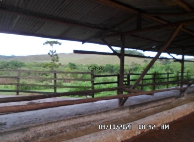 2144 Extraordinária fazenda de 418 ha ótima para lavouras e pronta para pecuária - Foto 2