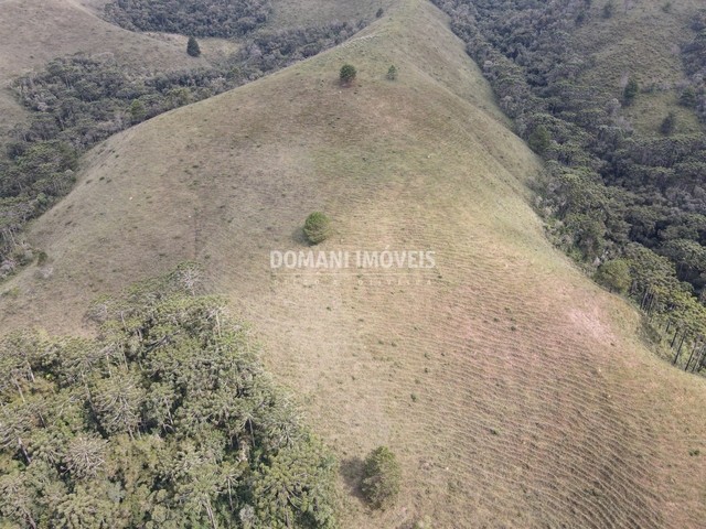 Ampla Área de Terreno apta à Aprovação de Projetos Residenciais - Região de Descansópolis - Foto 8