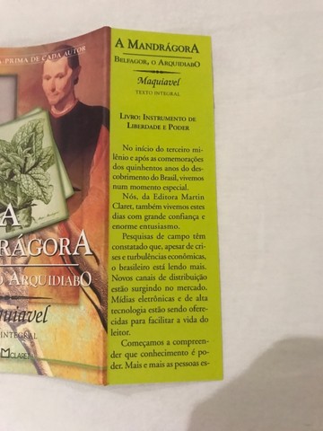 Livro infanto-juvenil  - Foto 3