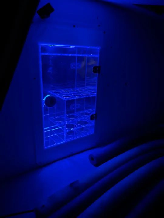 Lancha Ventura Cabin Comfort 215 - 22 Pés - Cabinada - Impecável - Revisada - Foto 3