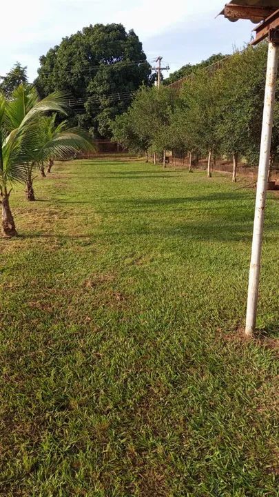 foto - São José do Rio Preto - Terra de São Lucas (Zona Rural)