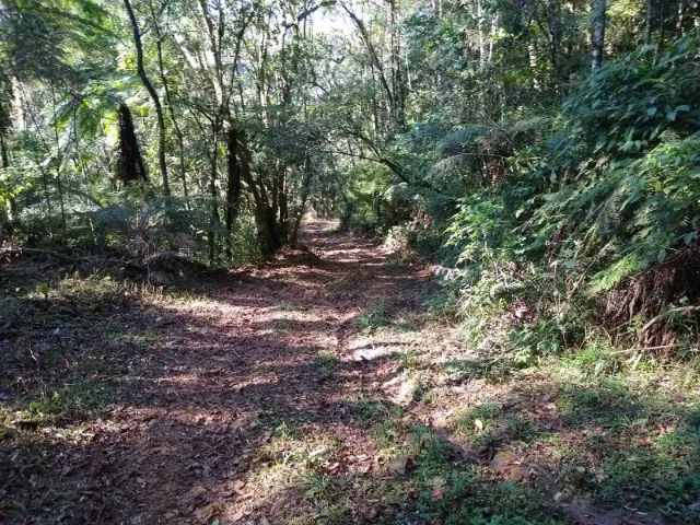 Terreno Rural de 30 hectares em Anitapolis