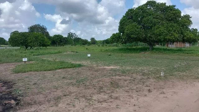 Terrenos - Feira de Santana - Humildes 200 m2 - Foto 3