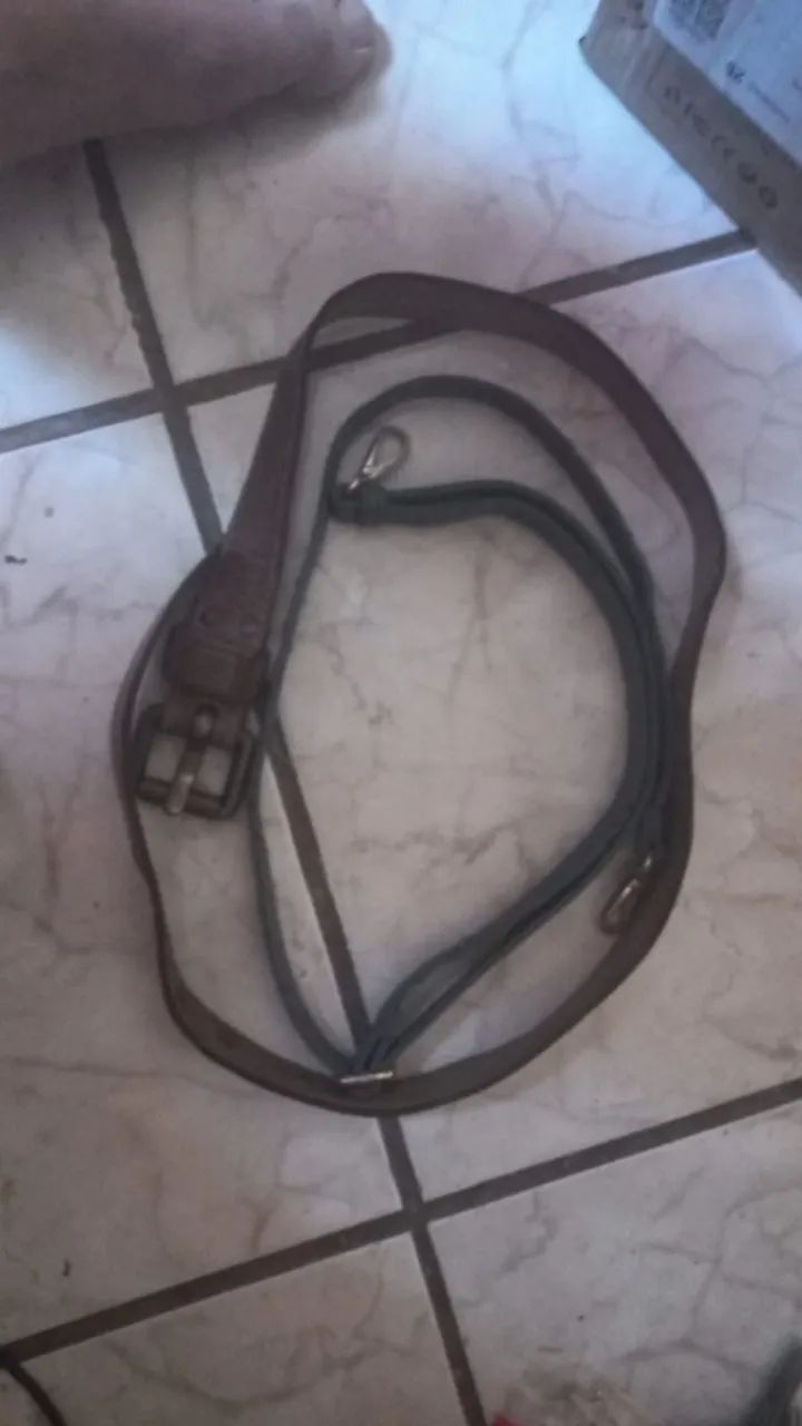 Cinto ou Guia para Cães - Duplo, Robusto e Versátil - Campinas