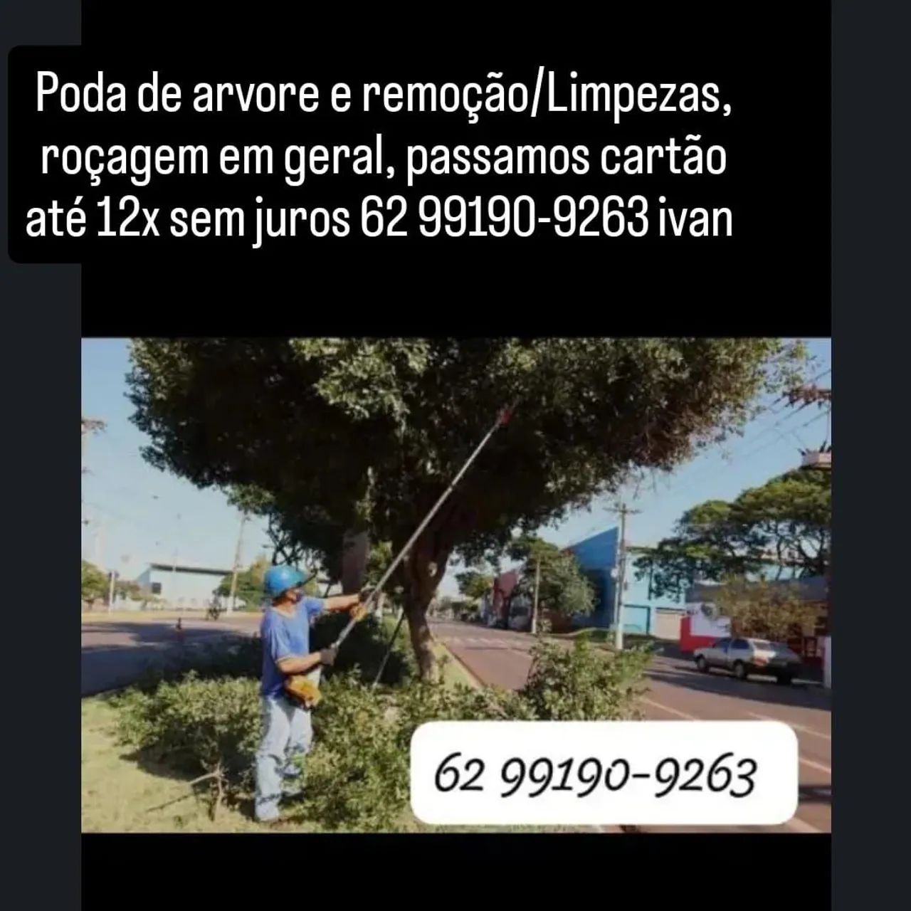 Poda de árvores - Foto 5