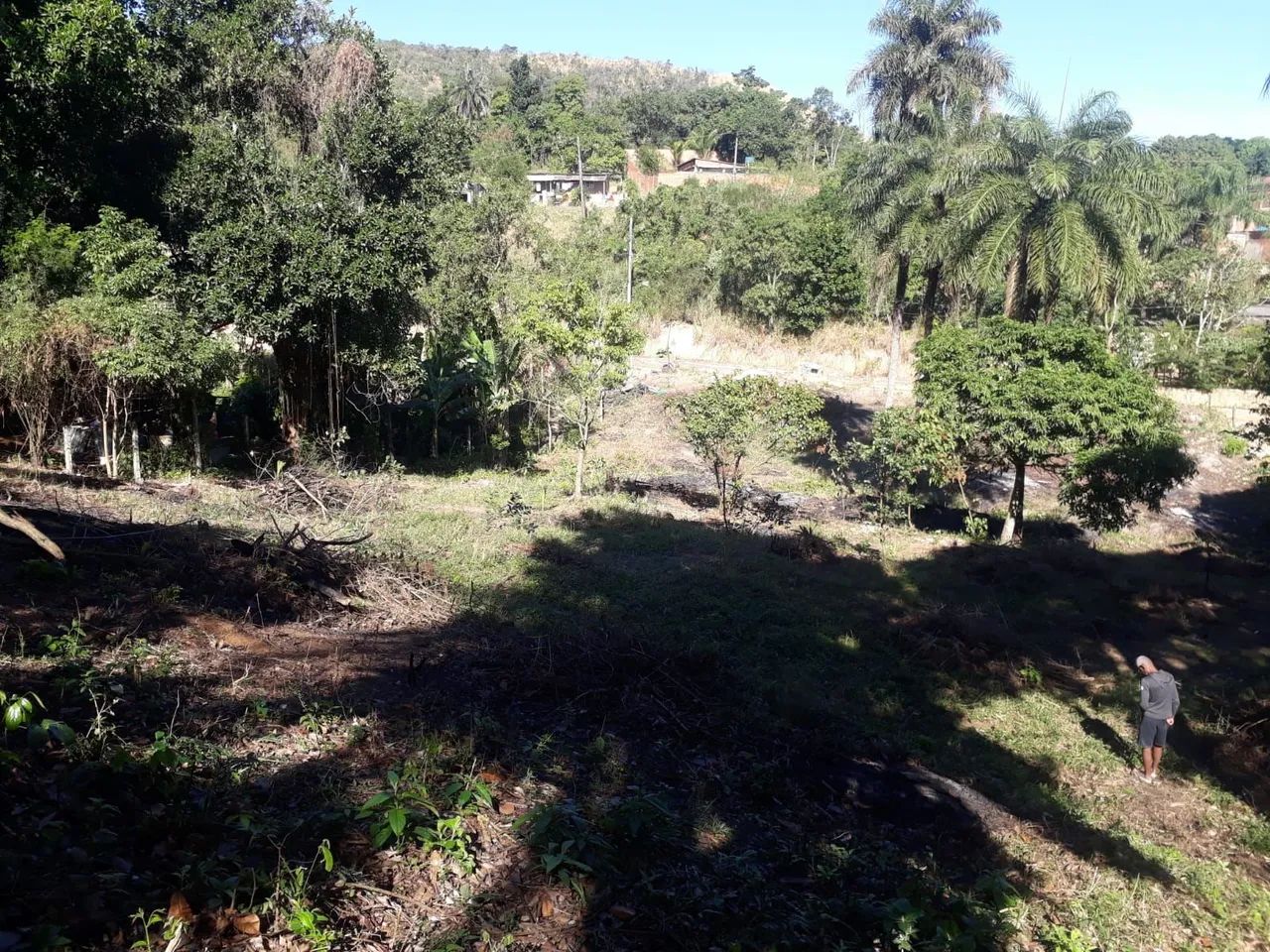 Terreno  bairro Luiz Camões  - Foto 4