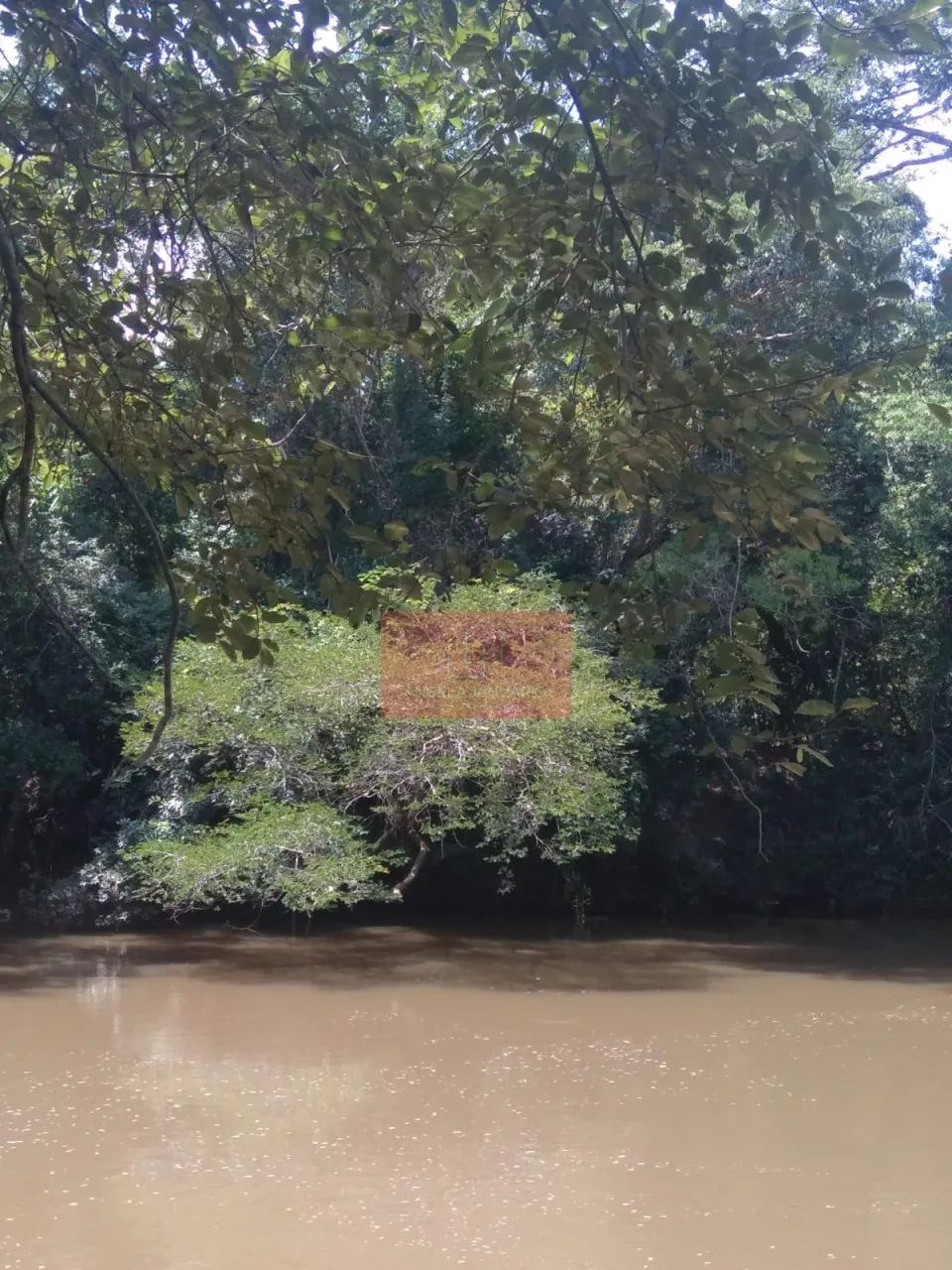 SITIO EM SIDROLÂNDIA - Foto 4
