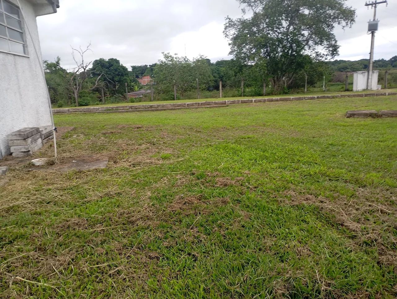 Serviço de jardinagem e limpeza de terrenos   - Foto 5