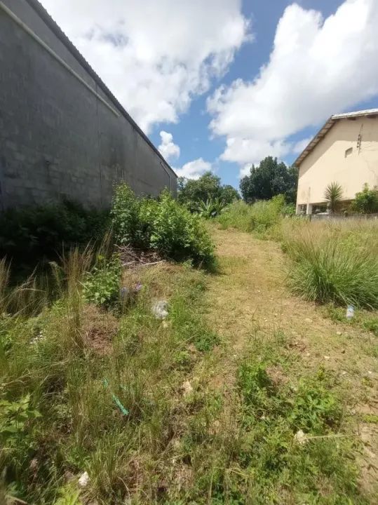 Terreno Urbano para Venda em Salvador, Nova Brasília - Foto 4