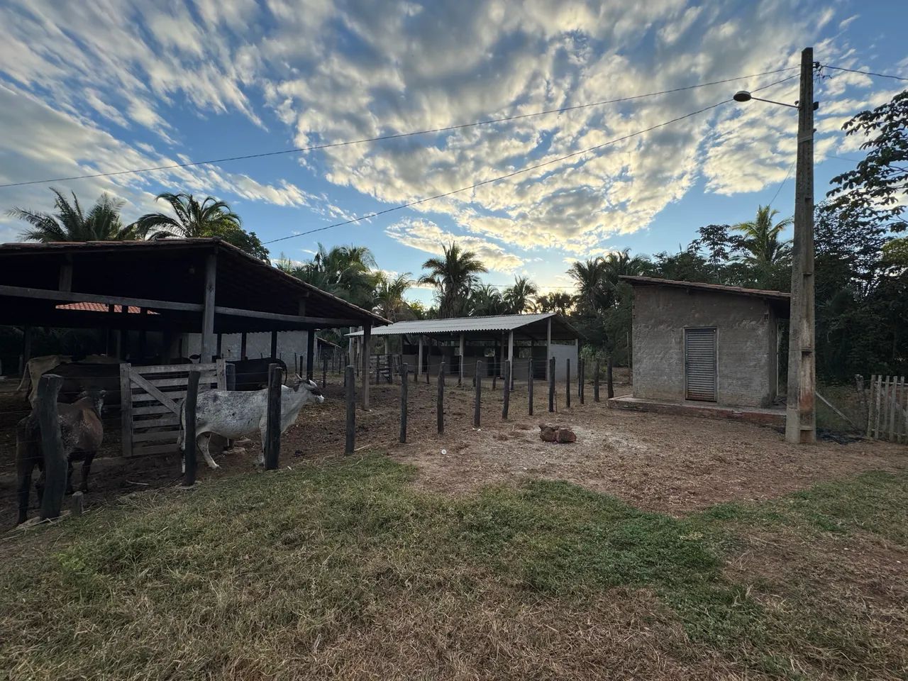 Vendo sítio km 14 Tiuba em TIMON MA  - Foto 5