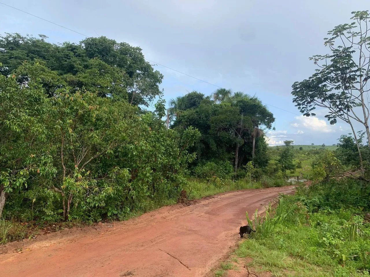 Fazenda em Ribeirão Cascalheira - MT - Foto 4
