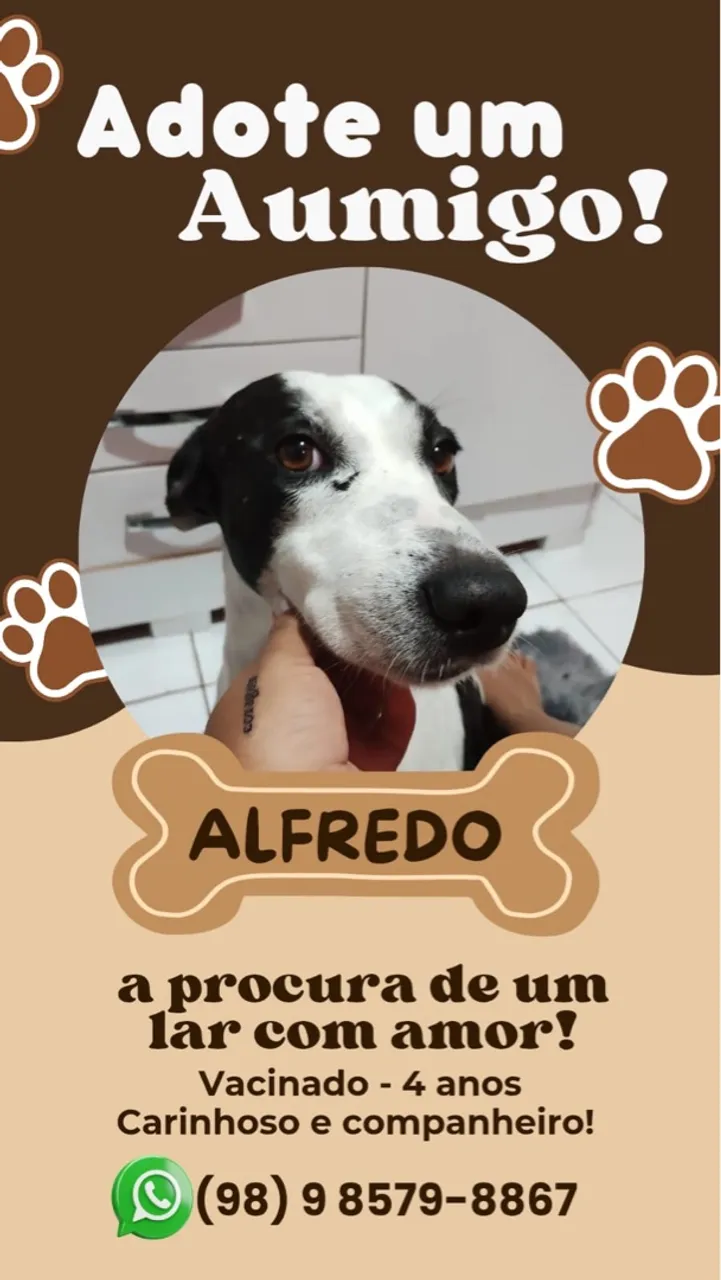 Alfredo precisa de um lar cheio de amor!