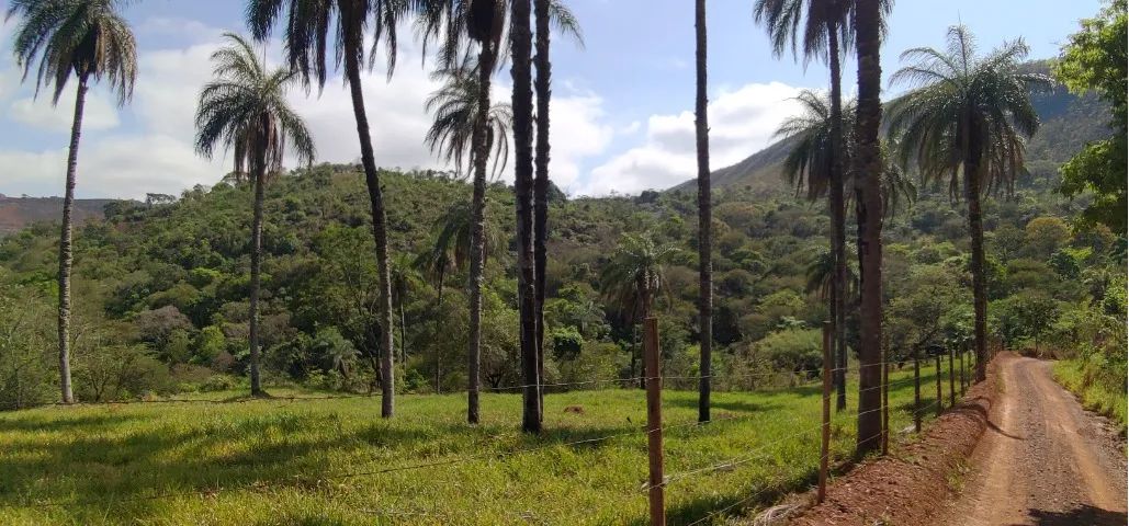 Foto - Brumadinho - 