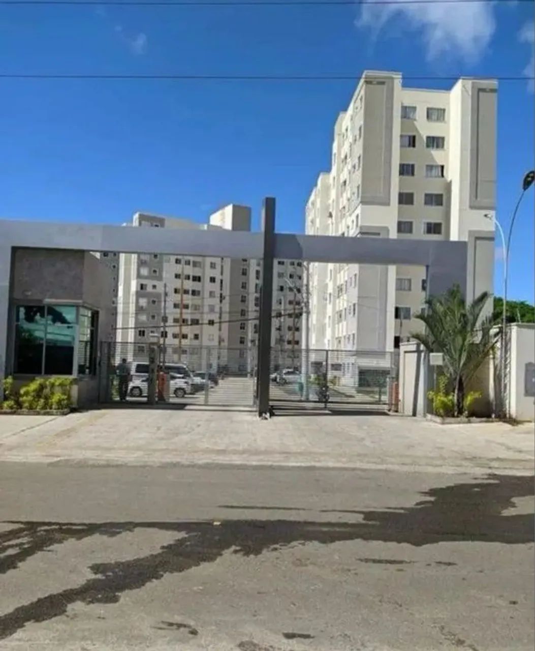 Foto - Salvador - Jardim das Margaridas