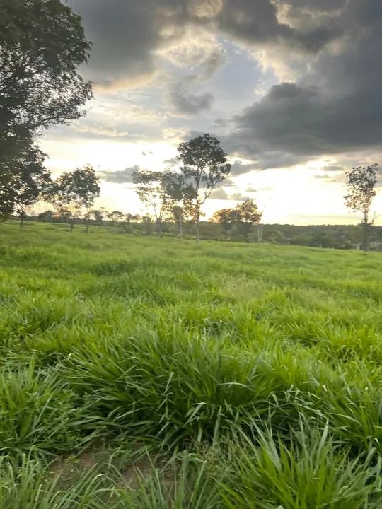 Vendo Fazenda 34.5 alqueires aceito imóveis em Palmas - Foto 10