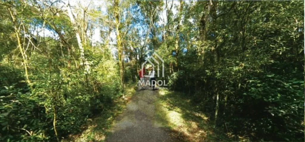 Terreno à venda, 200 m² por R$ 140.000,00 - Contorno - Ponta Grossa/PR - Foto 5