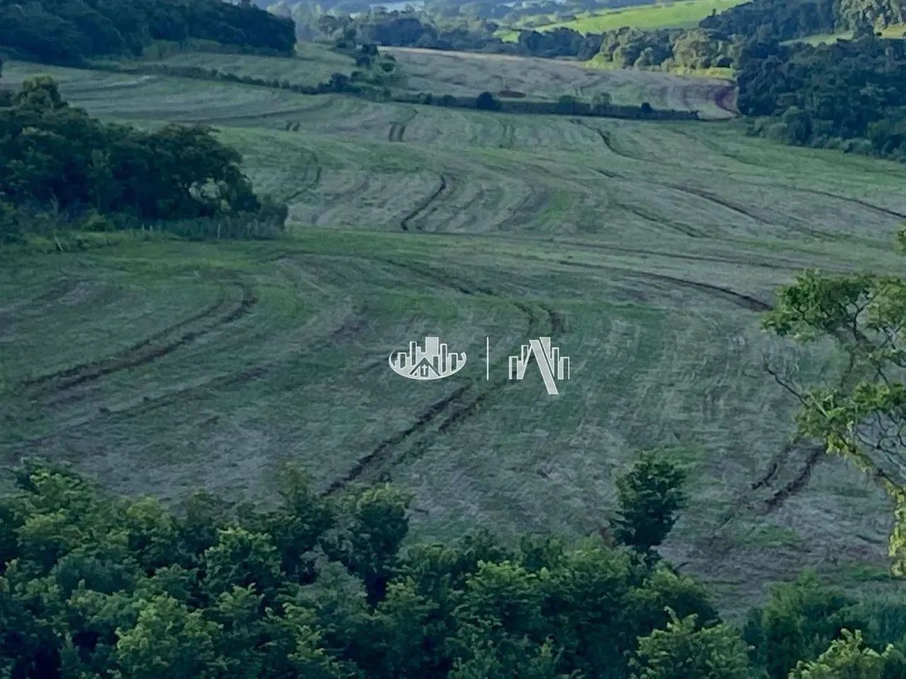 Sítio à venda, 653400 m² por R$ 4.900.000,00 - Zona Rural - Assaí/PR