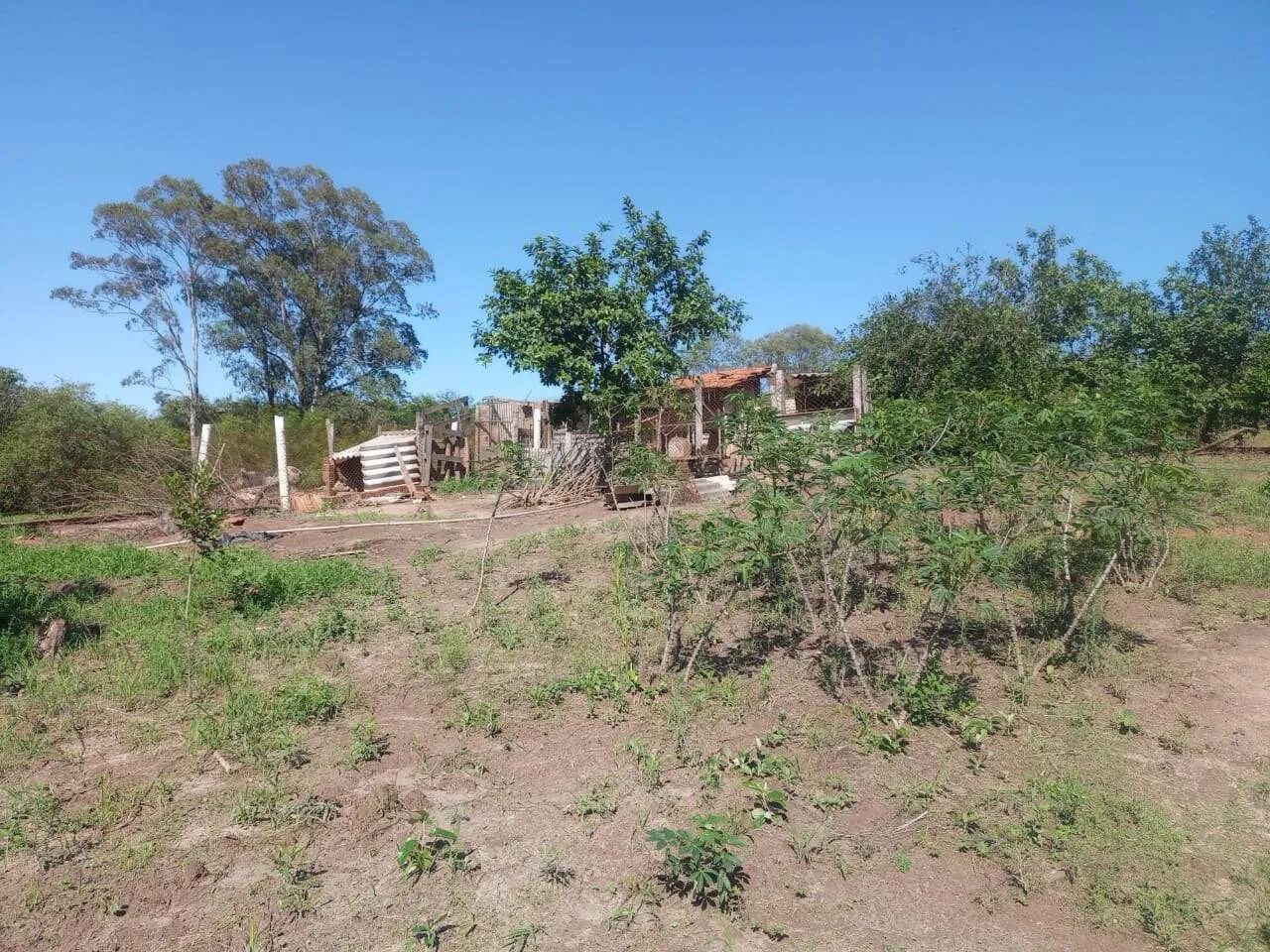 Sítio à venda, 3 quartos, Bairro dos Pires - Limeira/SP - Foto 3