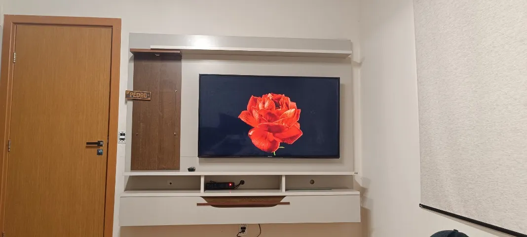 Televisão e painel