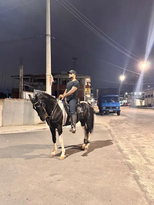 Cavalo pampa de preto  - Foto 6