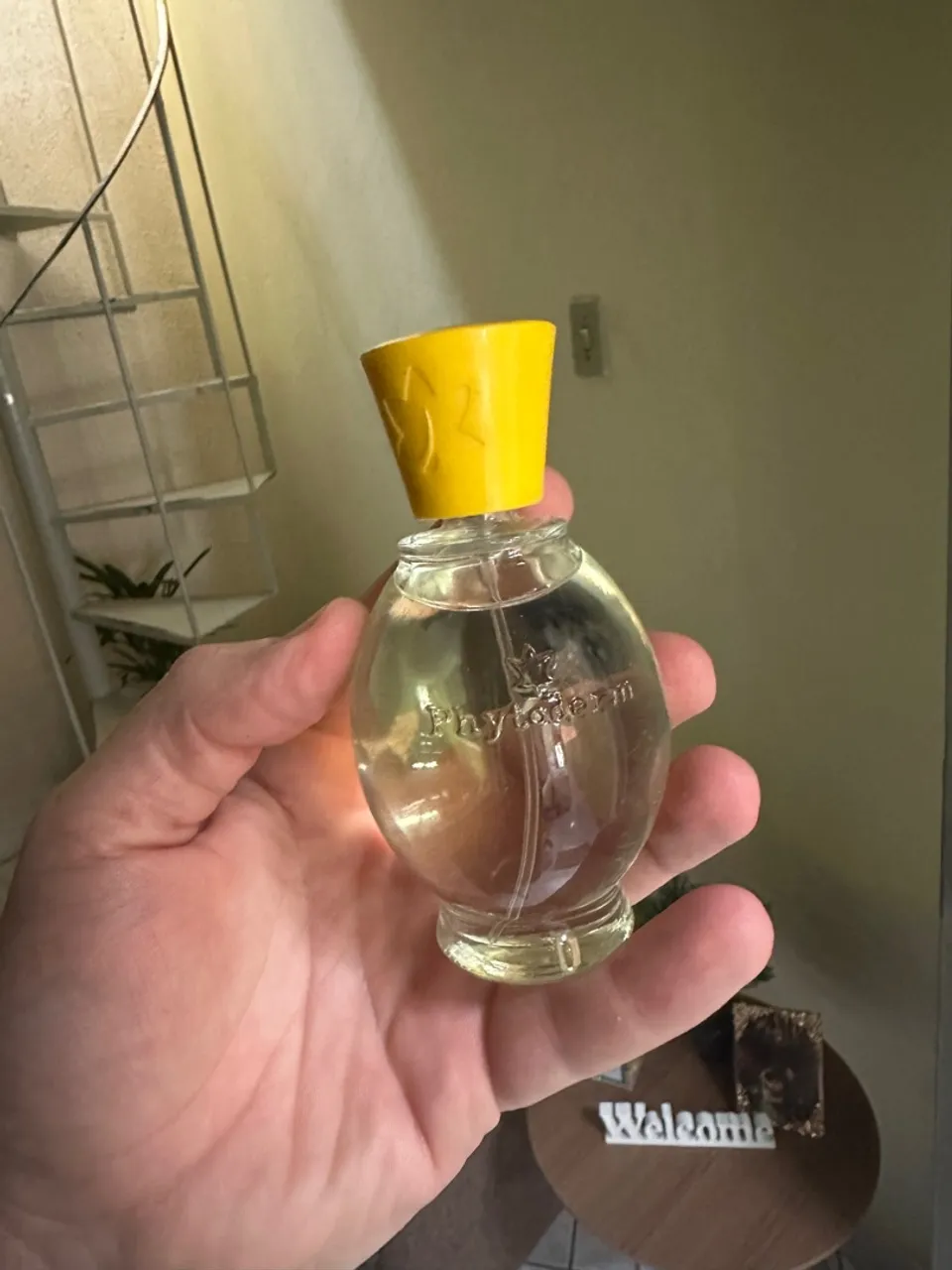 Colônia ADORADA - Phytoderm