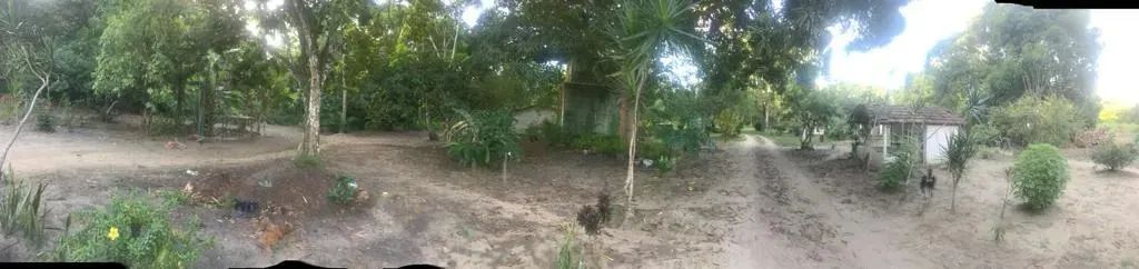 Ótima Oportunidade Granja 08 hec, Casas, Lazer, Usina Solar em Igarassu, Aceito Carro - Foto 3