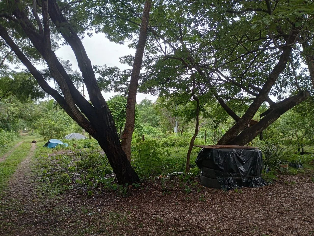 Foto - Cuiabá - Popular