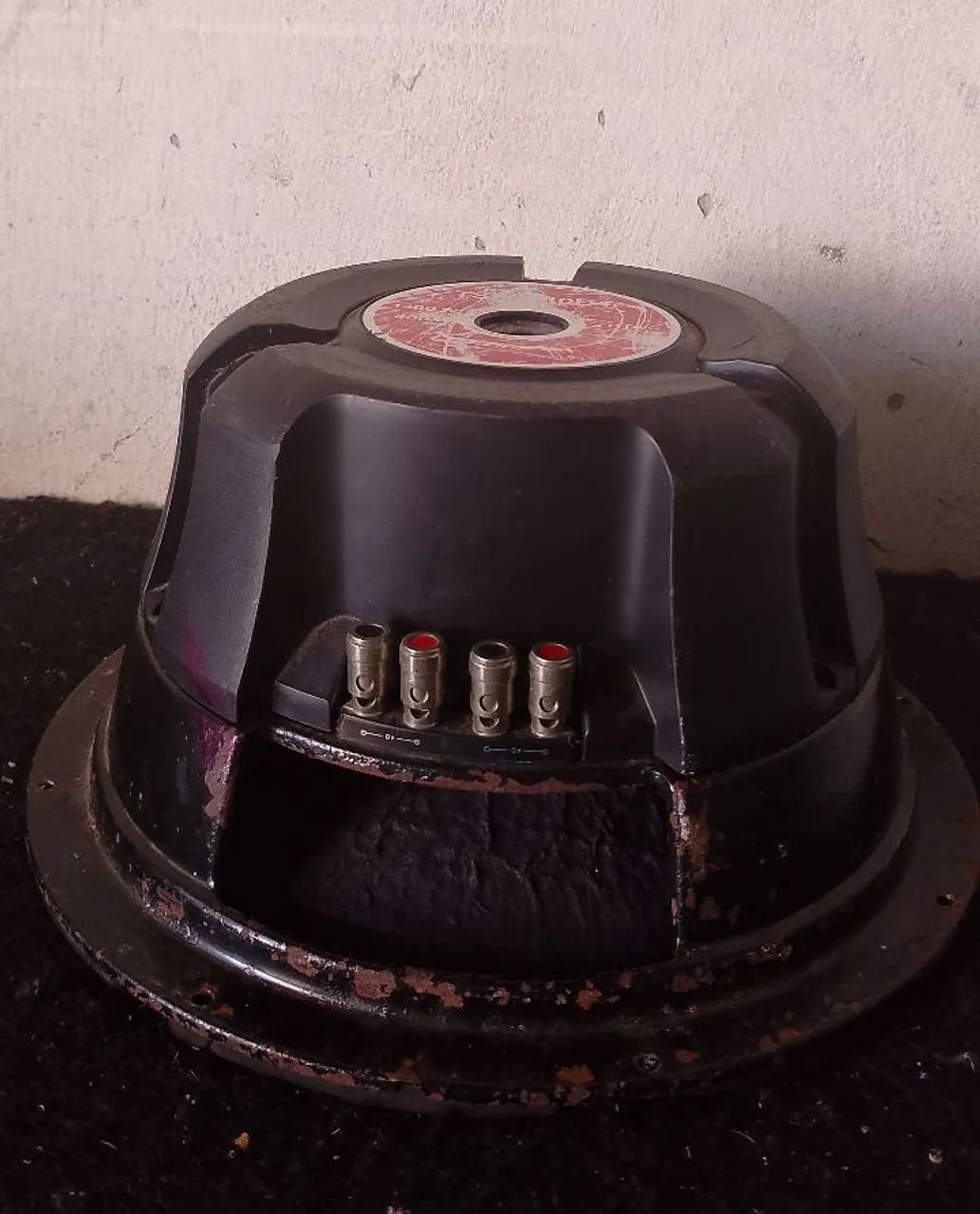 Grave 12 polegadas Pioneer 