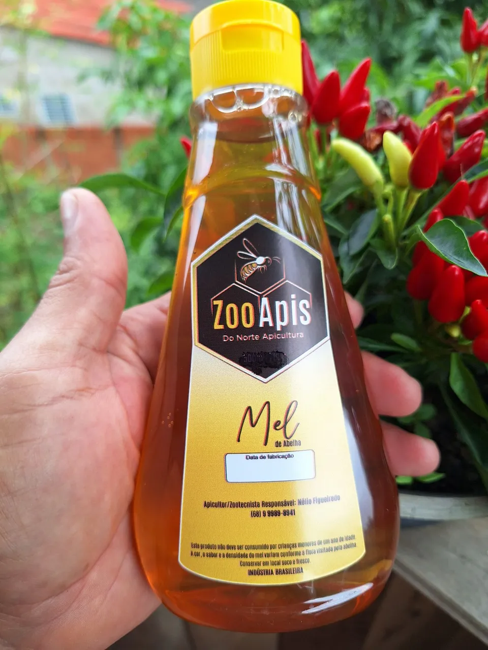 Mel de Abelha Puro - Zoo Apis