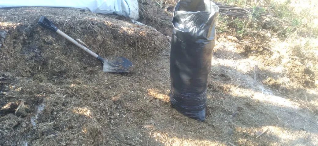 Silo de Milho Inteiro. - Foto 3