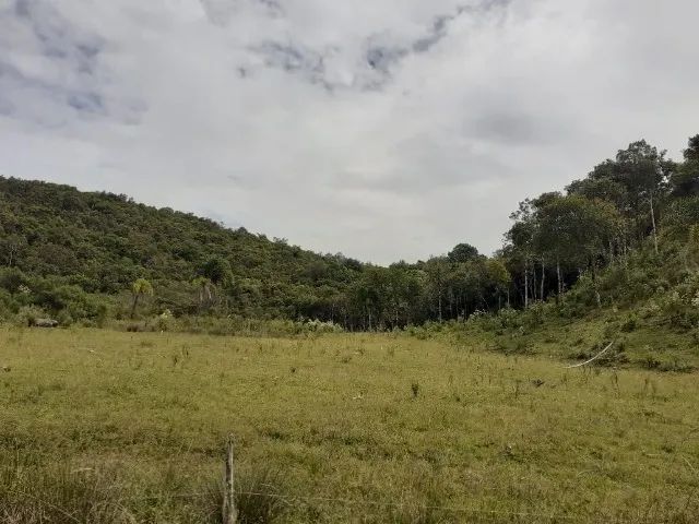 Chácara Roça Velha SJP 3560² Metros 