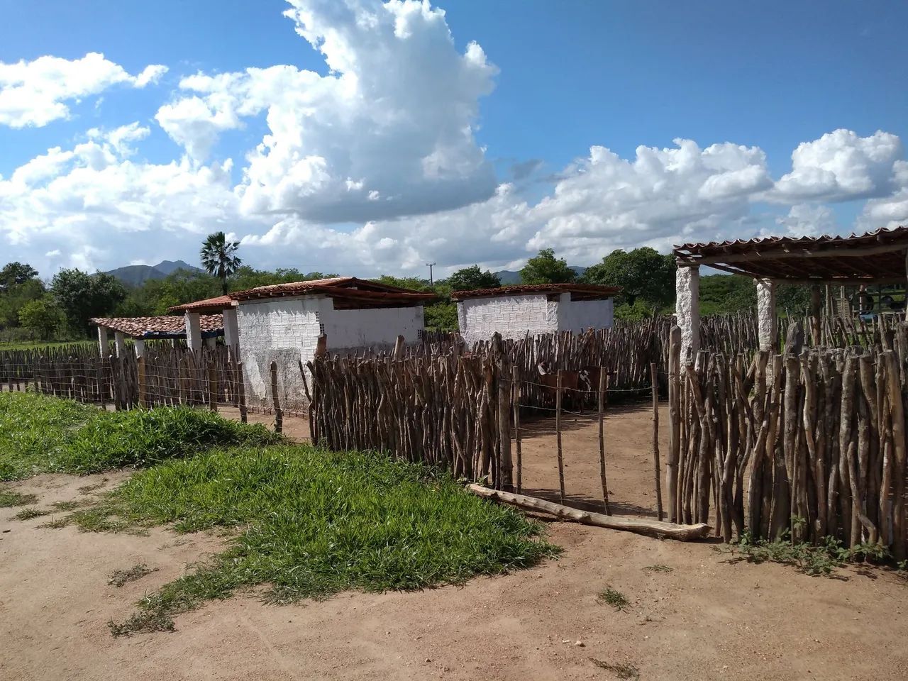 Promissora fazenda - Foto 2