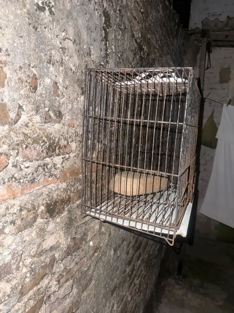 gaiola  - Foto 2