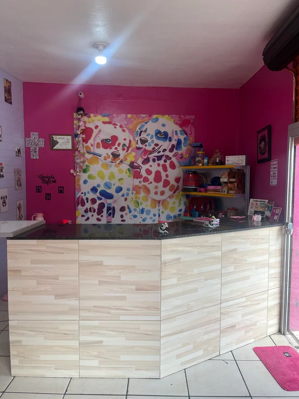 Pet Shop à venda- Passo Ponto - Foto 3
