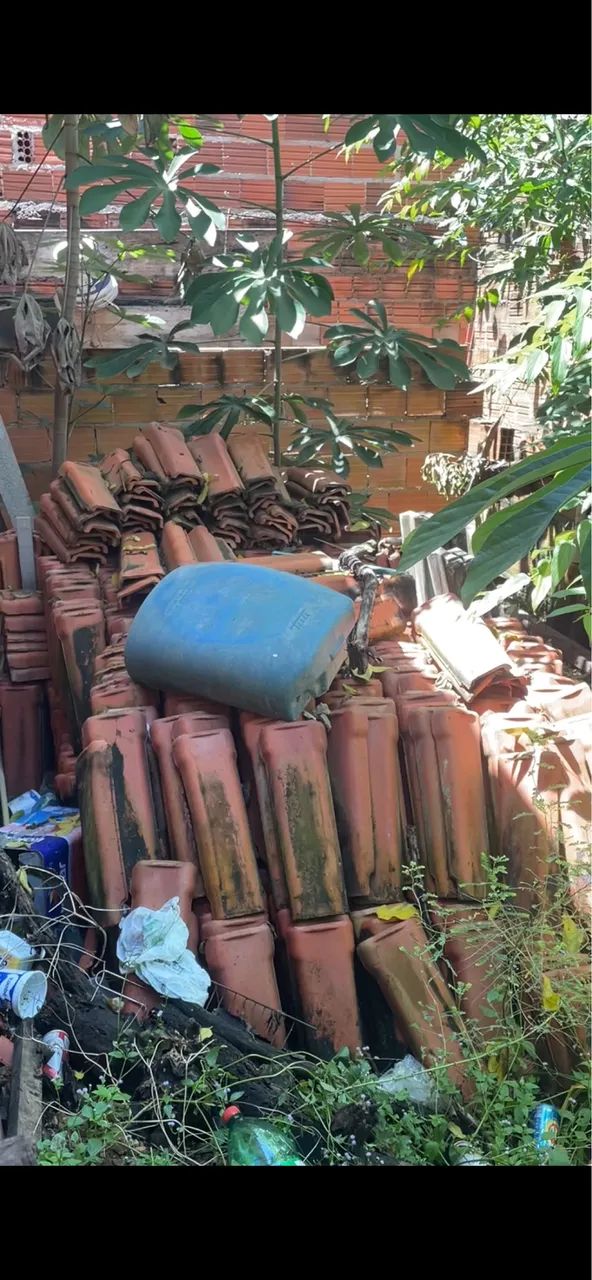 1.000 telhas de barro