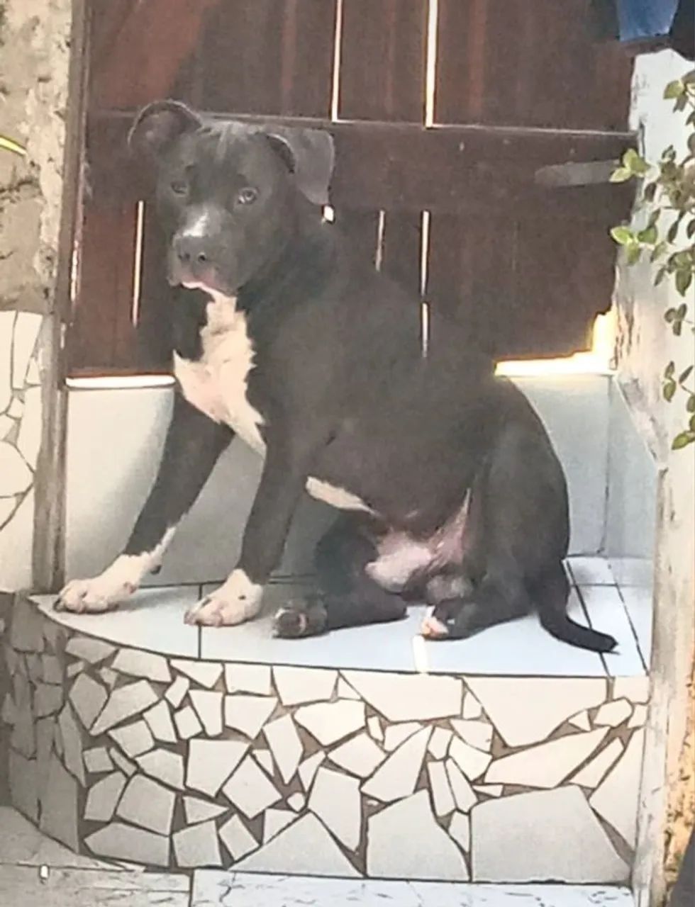 Procura Namorada  - Foto 2