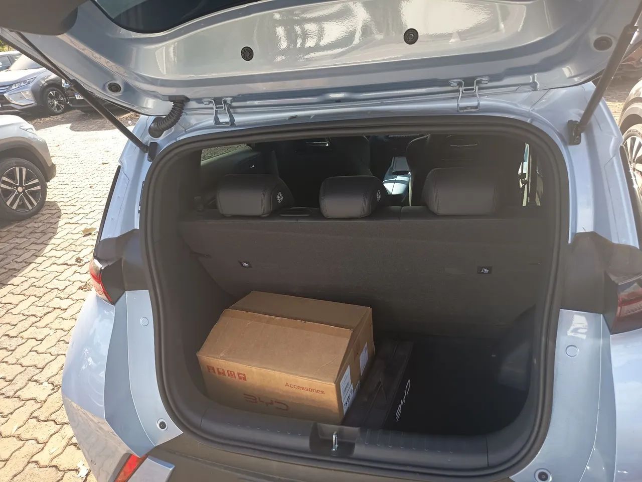 BYD Dolphin Mini (Elétrico) 2027 - Foto 5